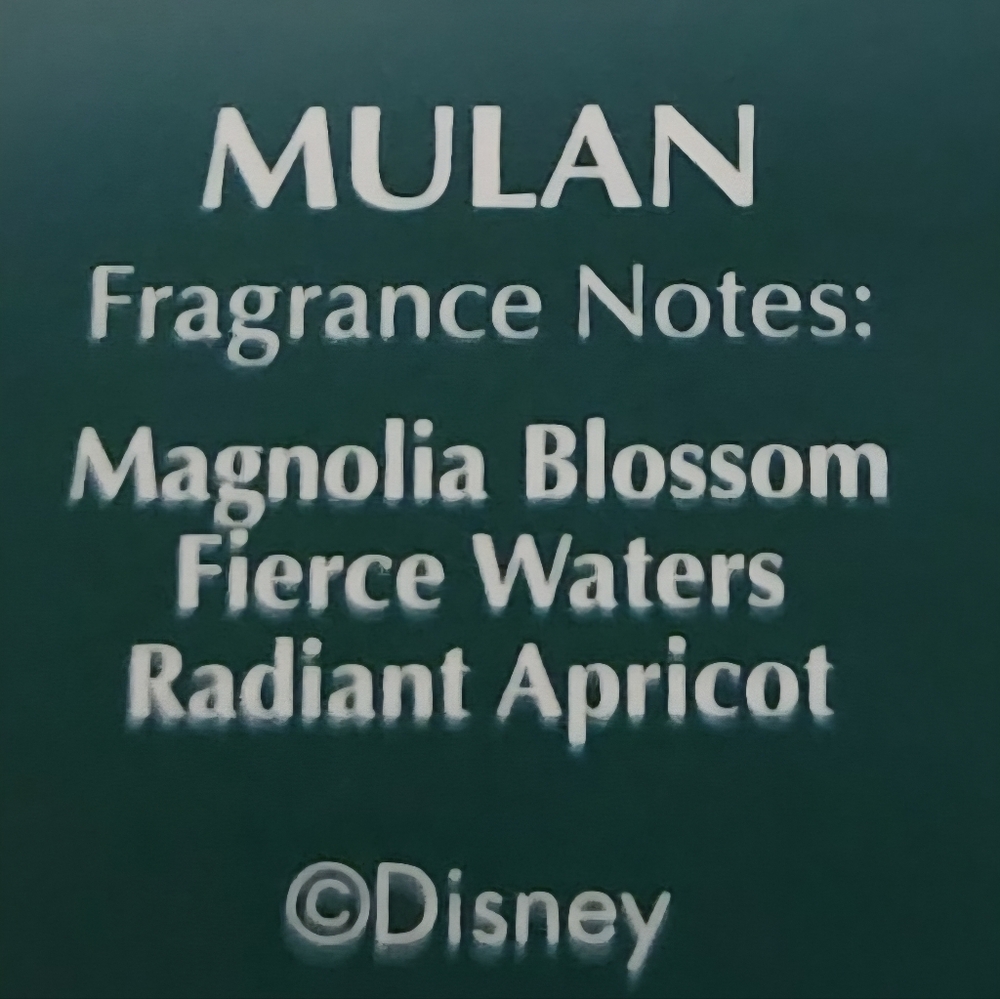 Bath & Body Works X DISNEY PRINCESS MULAN 12PC Collection Bundle - Picture 13 of 13